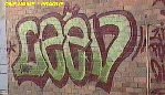 Ceev