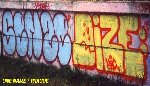 Senze Dize