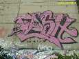 FESH