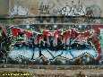 TWICS